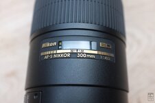 nikkor300_4 (1).jpg