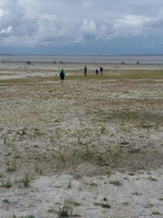 Nordsee MoF.jpg