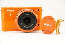 Nikon 1 J2 _8721.jpg