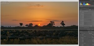 MasaiMara Sunrise.jpg