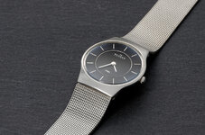 Skagen-002-1200.jpg