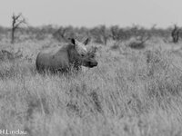 P9042232Namibia_2017_DxO_SW_2_Web.jpg