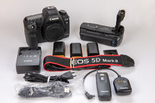 EOS5dMK2-1.jpg