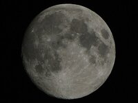 DSC_2217_Mond_crop_sharp.jpg