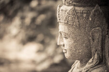 a_stone_buddha_in_the_zoo_by_patriqio-d6hn7z0.jpg