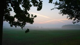 2013-08-30 Am Niederrhein2.jpg