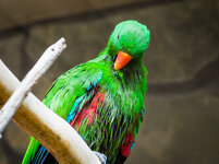 Zoo 31-08-2013__-131.jpg