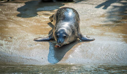 Zoo 31-08-2013__-144.jpg