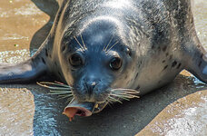 Zoo 31-08-2013__-144_crop.jpg