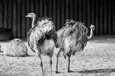 Zoo 31-08-2013__-191.jpg