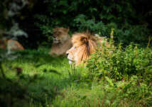 Zoo 31-08-2013__-200.jpg