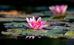 Botanischer Garten 31-08-2013__-110.jpg