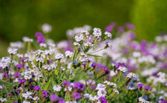 Botanischer Garten 31-08-2013__-111.jpg