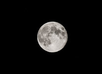 Mond 22-08-2013__Crop-100.jpg