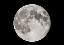 Mond 22-08-2013__Crop-200.jpg