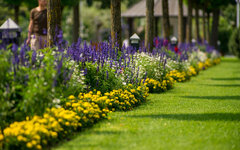 Botanischer Garten 31-08-2013__-128.jpg