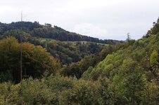 Waldblick-Pentax24f11.jpg