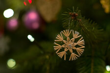 christmas_bokeh.jpg