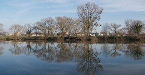 Neckar-crop.jpg