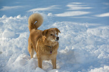 20130210-DSC_1932.jpg