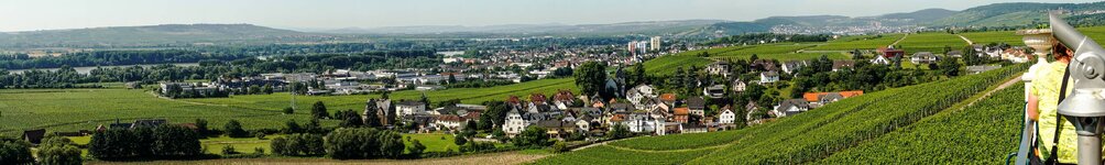 RheingauPanorama EF35-70.jpg