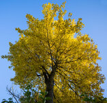 herbst-dslr.jpg