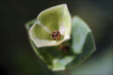 2015.02.08_botanischer_garten_03.jpg