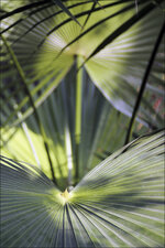 2015.02.08_botanischer_garten_20.jpg