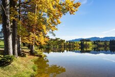 #Herbst Allgäu2015-102769.jpg