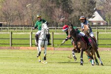 polo-8682.jpg