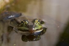 Botanischer_Garten-1.jpg