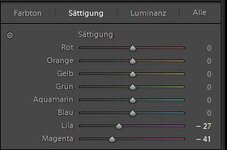 LR Einstellungen G5x b.JPG