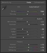 LR Einstellung G5x 2.JPG