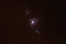 IMGP1383 Orion.jpg