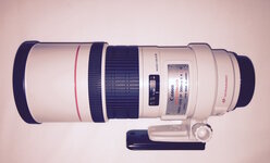 Canon300mmf4.jpg