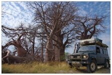 Baobab Landrover06.jpg