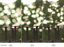 Bokeh Highlights CROPS DA200+TK.jpg