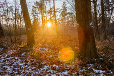 winterwalk-6.jpg