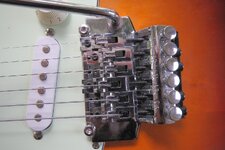 FloydRose I.jpg