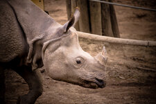 zoo_schoenbrunn__12. April 20170104.jpg