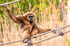 zoo_schoenbrunn__12. April 20170158.jpg