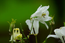 20130615-DSC05125.jpg