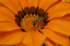 20120807-23 Kopie.jpg