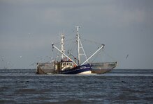 dslrCux17.11.17fischerboot-1.jpg