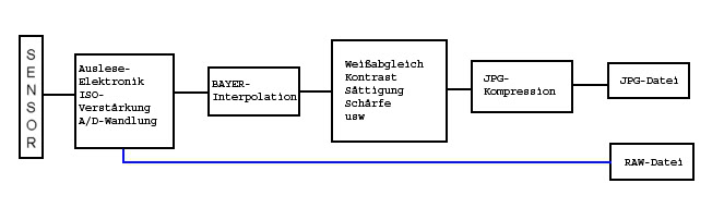 raw-flussdiagramm1.JPG