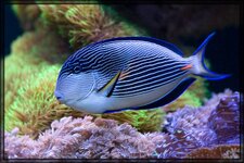 _r_IMG_7937s2.jpg
