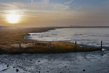 IMG_8897_b4.jpg