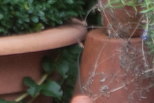 crop (2 von 2).jpg