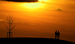201003191D3_3590.jpg