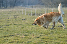 DSC_4979.1.jpg